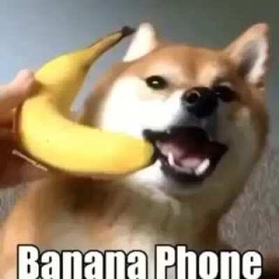 banana phoneeeeeeeeeeeeeeeeeeeeeee