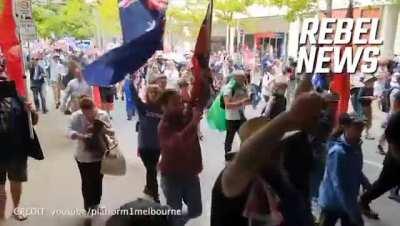 🇦🇺🚨 Massive convoy crowd taking over the streets of Canberra right now! ⚡