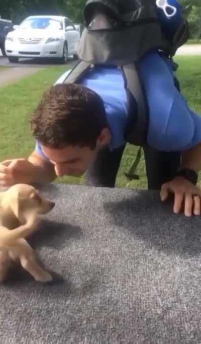 A pupper adorably welcoming home their best friend