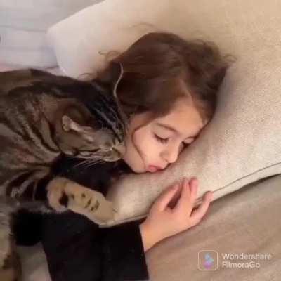 猫压床