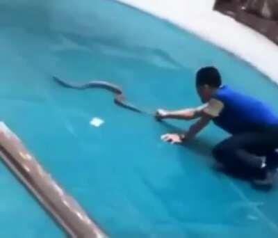 WCGW teasing a snake