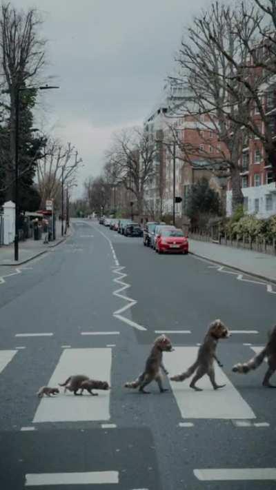 #GotGVol3 test footage by @Framestore UK. #AbbeyRoad #Evolution #ThePartyIsAbouttoStart