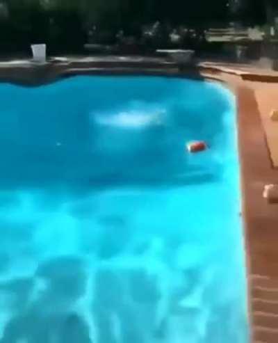 WCGW while playing at swimming pool