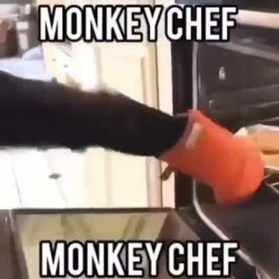 monkey chef