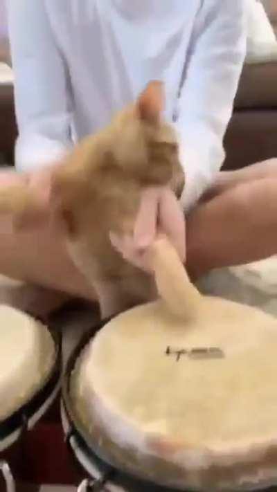 Wunky drummer 