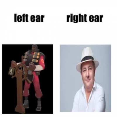 left ear right ear