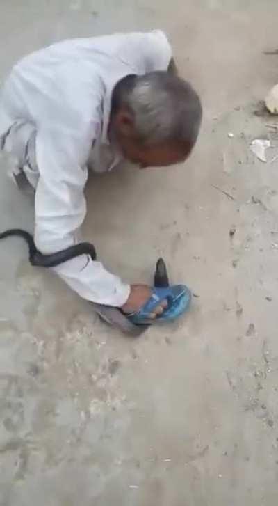 A drunk indian man came across a danger noodle.