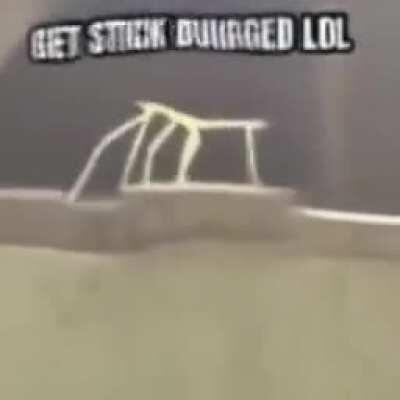 Getstickbug