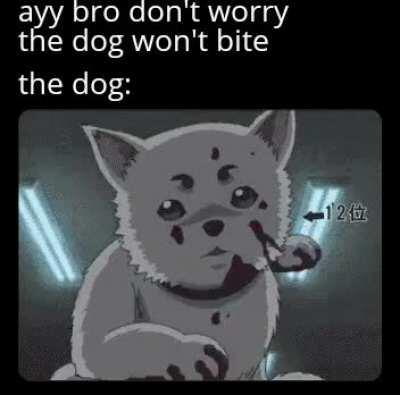 Dog don't bite