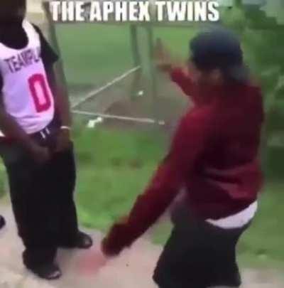 The aphex twins