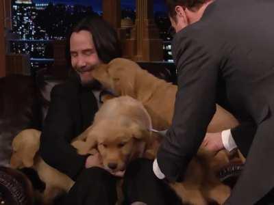 Keanu Reeves is the Puppy King