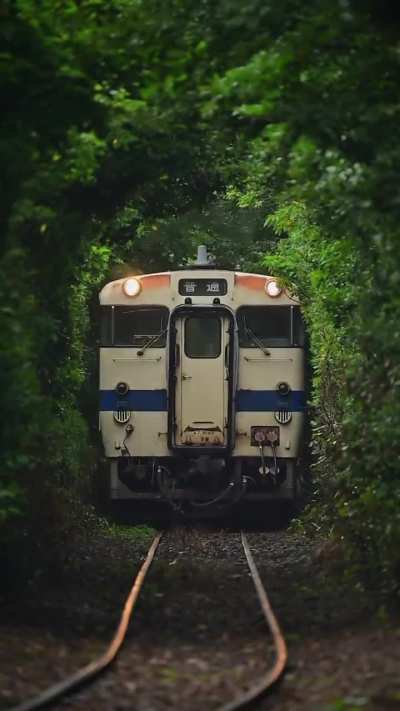 The way the surrounding fits perfectly for that Japanese train. 