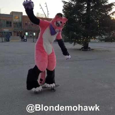 Kickflip and Tre Flip in fursuit!