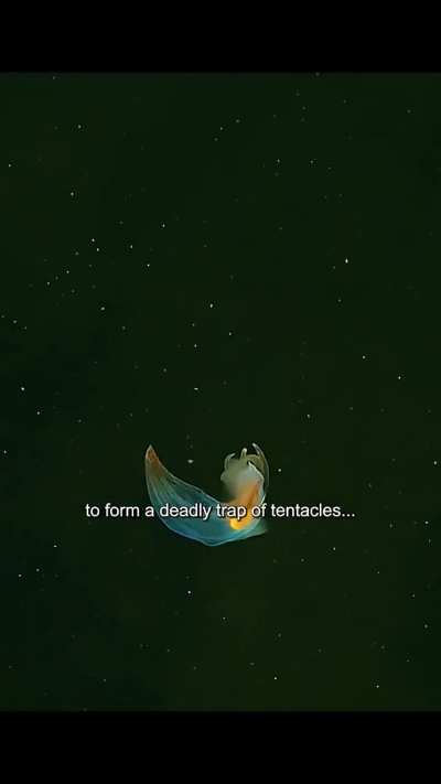 TheDepthsBelow