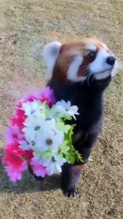 This is the flowergirl we all need at our wedding.