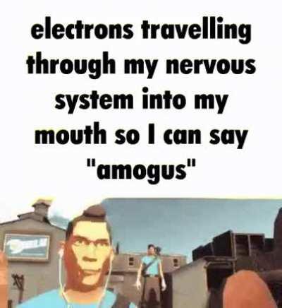 amogus