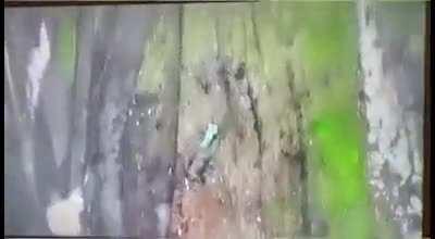 Drone drops grenade on a Russian vehicle (warning; Video zooms in on people dying)