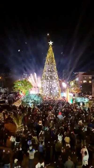 Christmas Tree 🎄 Lighting - Byblos