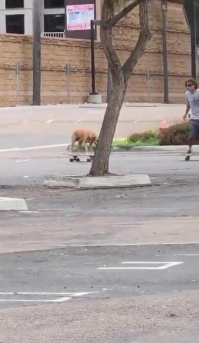 Skateboarding with a friend