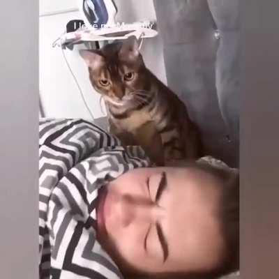 Wake up human