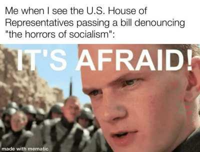 It's afraid!