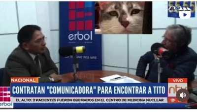 saquenme de bolivia 😭&quot;contratan comunicadora interespecies para hallar al gato Tito&quot;