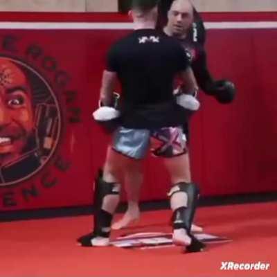 Joe Rogan pad work with Liam Harrison