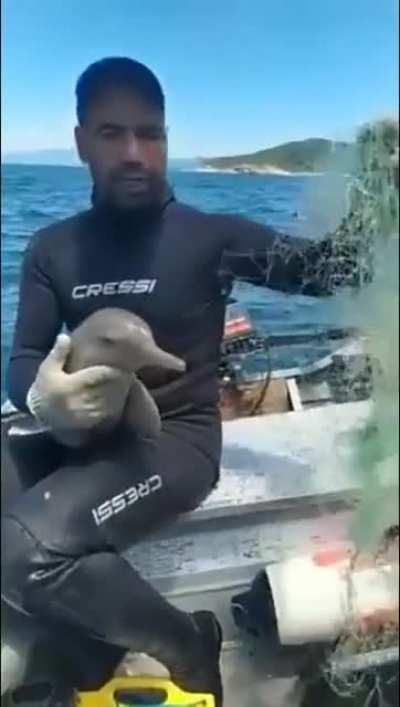 The Man help the baby dolphin. He's so kind.