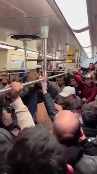 Así se viaja en el Tren San Martín