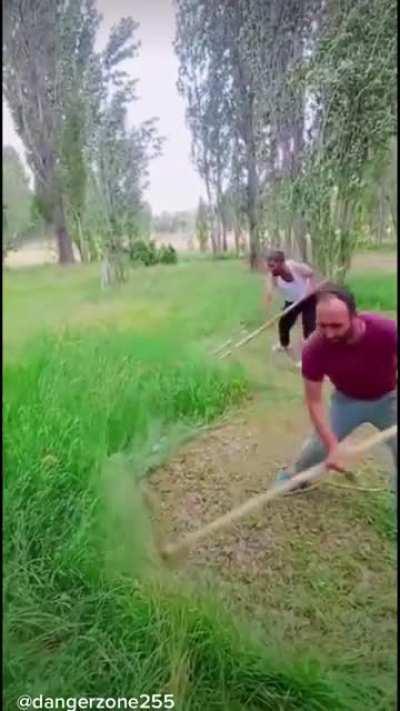 2 people cutting long grass