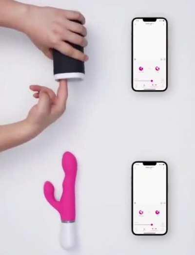 Virtually Interconnected Sex Toys With Reciprocal Motions