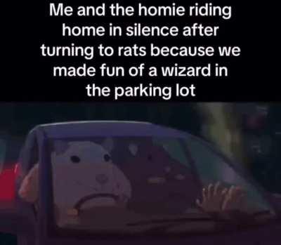 rats