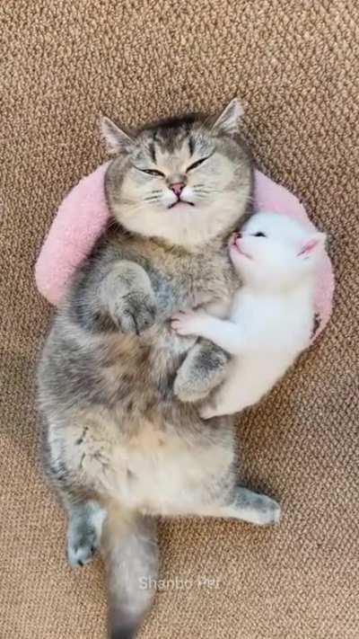 Nap together