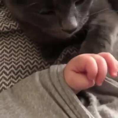 “Ok little human, we can be friends”