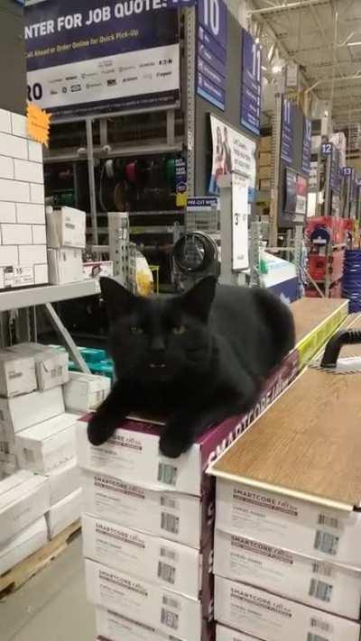 The new associate in the flooring department was very helpful this morning 