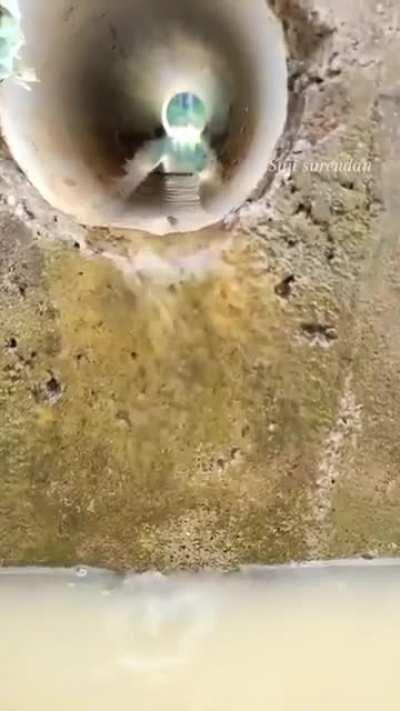 🔥 Tiny fish swimming up a wall and through a drainpipe