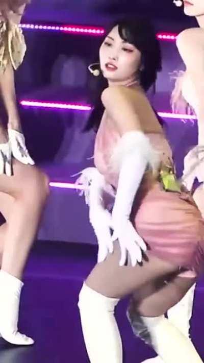 Momo 🍑