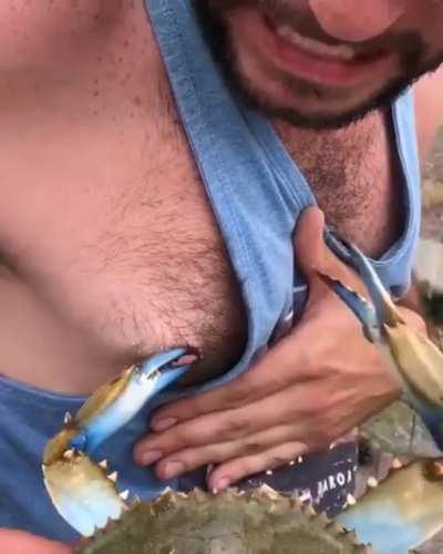 WCGW if you hold a crab close to your nipple