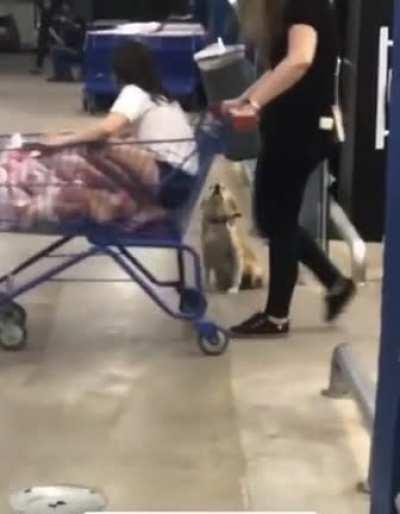 This Dog waves goodbye to everyone who leaves the store.