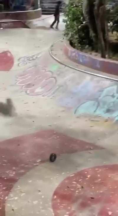 Skilled skateboarding saboteur