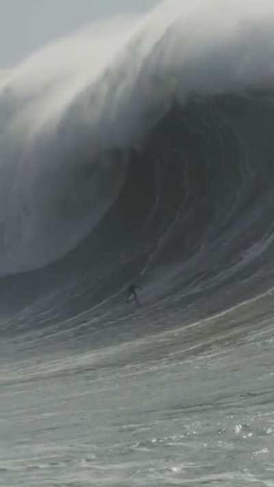 🔥 Waves in Nazare, Portugal. 🔥