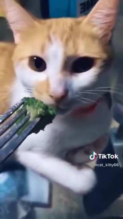 Broccoli