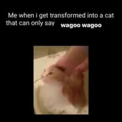 Wagoo wunk