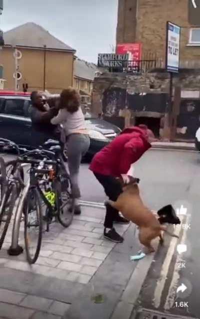 A woman walking her dog attempts to stop a mugging. The Pit Bull, however, decides to attack the woman being mugged, then attacks its own owner. The mugger gets away unharmed.