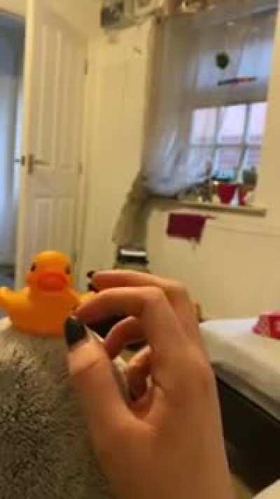 Jealous Bird Throws Away Rubber Duck