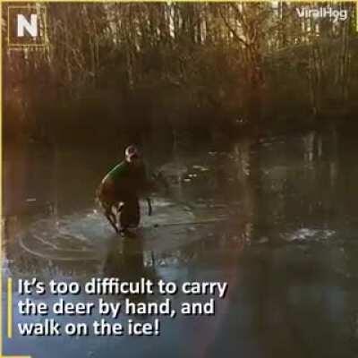 Saving a little deer from Frozen Pond and Slippery Ice