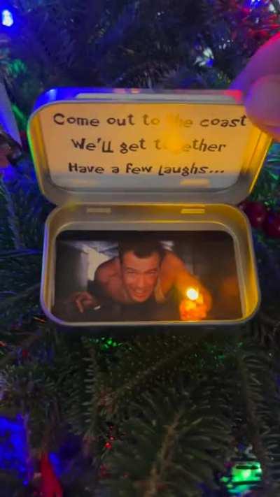 Best ornament on my tree