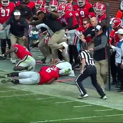 A Georgia Bulldogs coach floating above the mayhem.