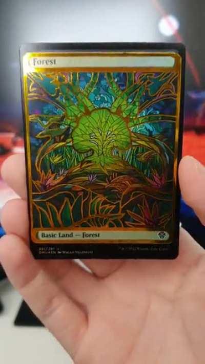 DMU Forest vinyl alter