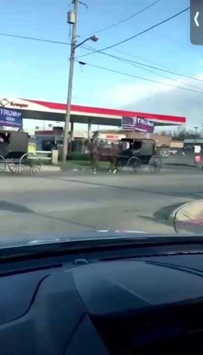 Amish Trump Train